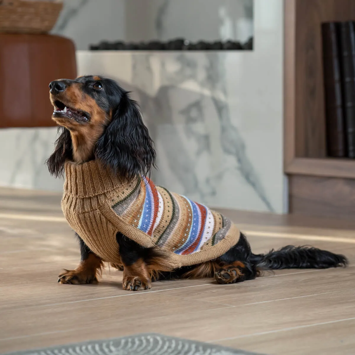 Alqo Wasi Alpaca Hello Autumn Dog Sweater