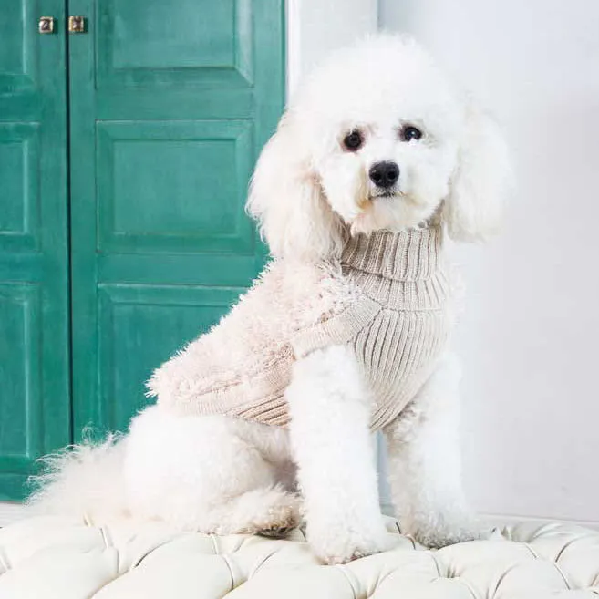 Alqo Wasi Game of Bones Dog Sweater