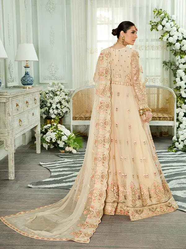 Farmaish Festive Chiffon Collection by Zebtan – FC-08