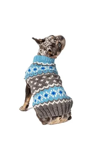 Light Blue Fairisle Sweater