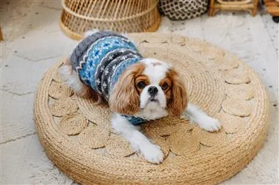 Light Blue Fairisle Sweater