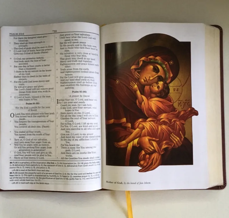 Orthodox Study Bible (Leather-Soft Edition)